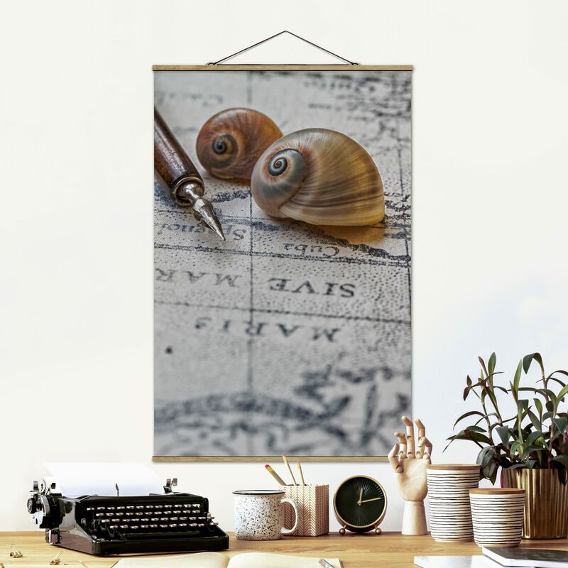 

Imagen de tela - Shells And Filler Vintage - Alto 3:2 Dimensión LxA: 150cm x 100cm