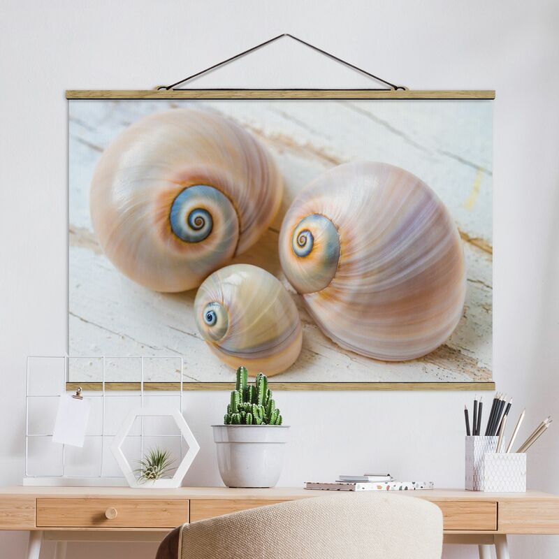 

Imagen de tela - Shell Trio On Wood - Apaisado 2:3 Dimensión LxA: 23.5cm x 35cm