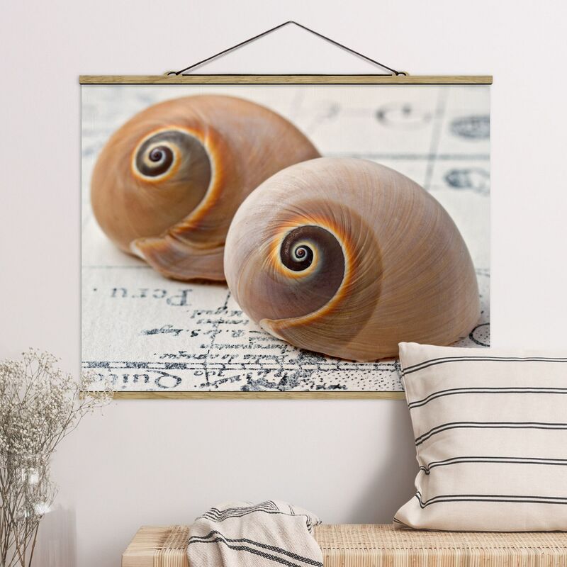 

Imagen de tela - Shell Duo - Apaisado 3:4 Dimensión LxA: 75cm x 100cm