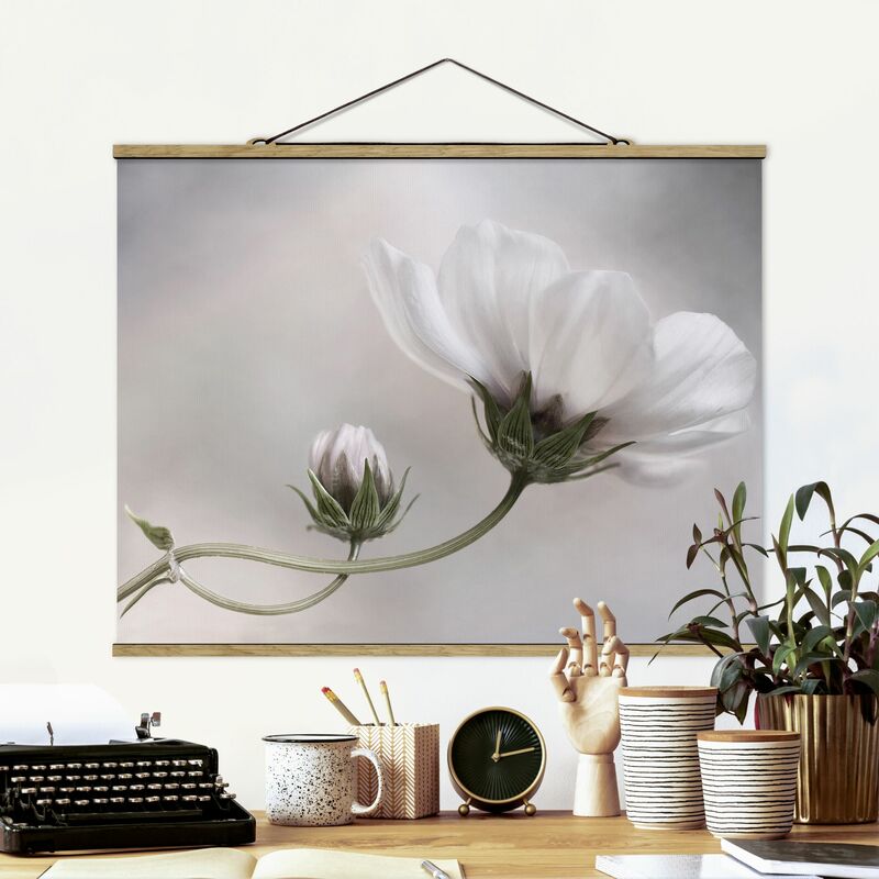 

Imagen de tela - Simply Cosmos - Apaisado 3:4 Dimensión LxA: 60cm x 80cm