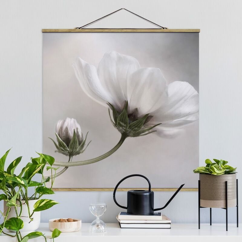 

Imagen de tela - Simply Cosmos - Cuadrado 1:1 Dimensión LxA: 50cm x 50cm
