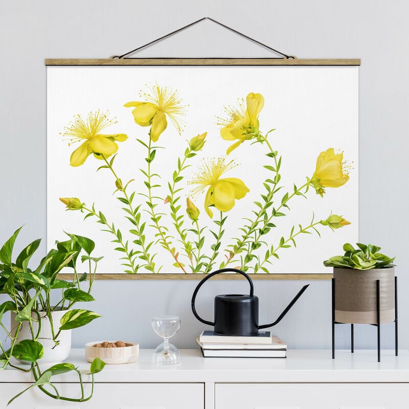 

Imagen de tela - St. John's Wort In Full Bloom - Apaisado 2:3 Dimensión LxA: 33.5cm x 50cm