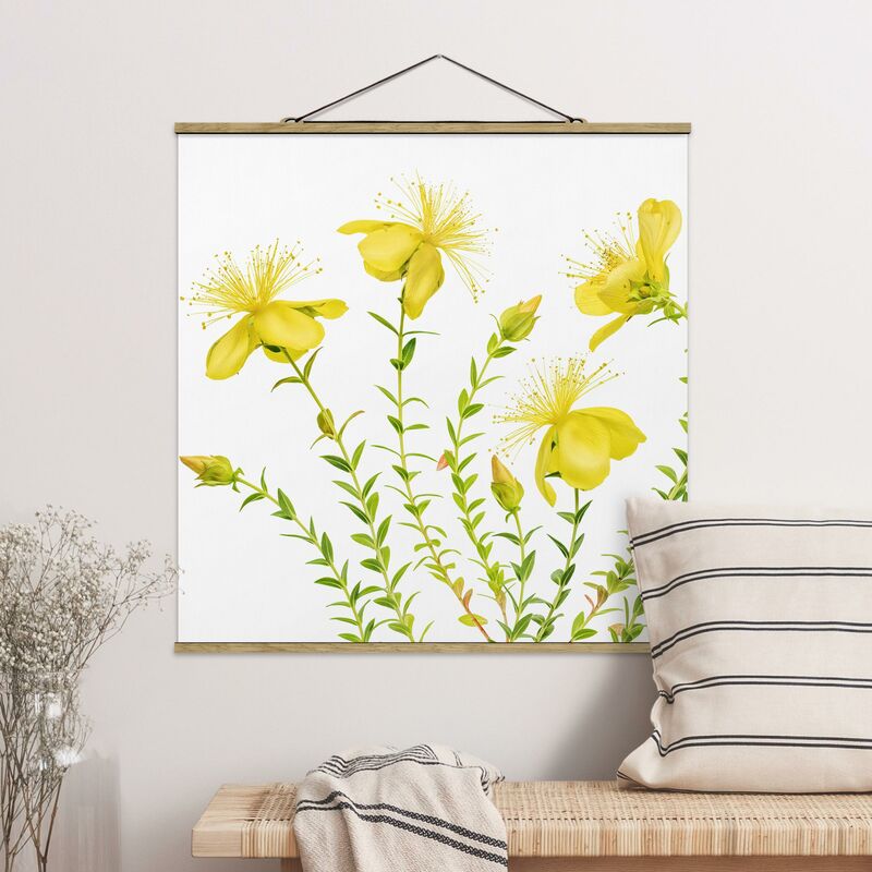 

Imagen de tela - St. John's Wort In Full Bloom - Cuadrado 1:1 Dimensión LxA: 35cm x 35cm