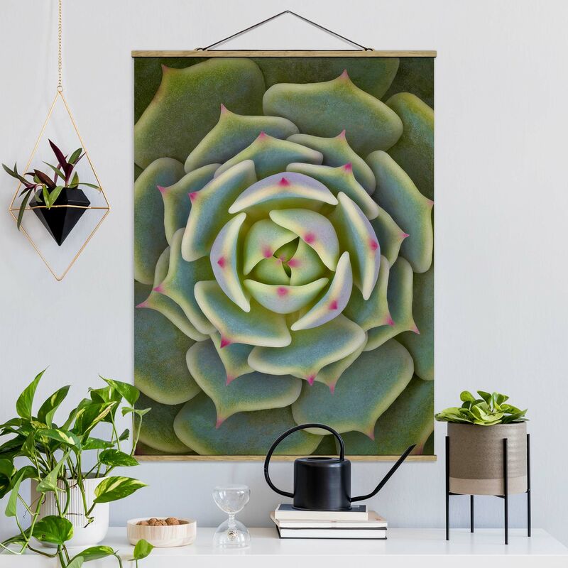 

Imagen de tela - Succulent - Echeveria Ben Badis - Alto 4:3 Dimensión LxA: 46.5cm x 35cm