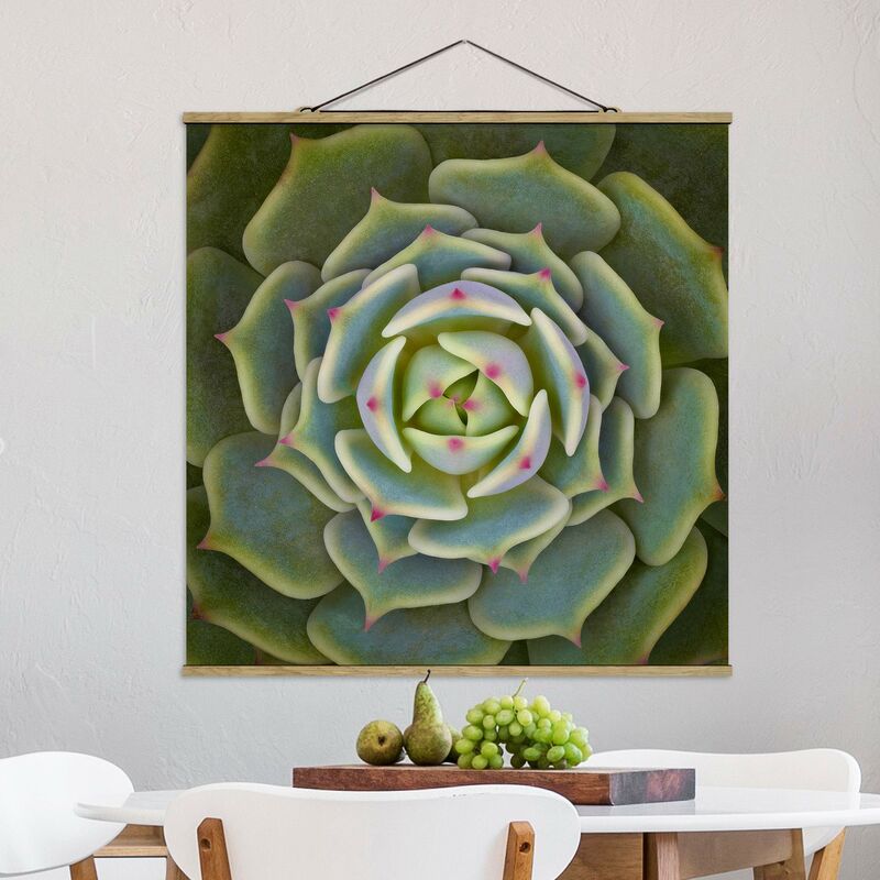 

Imagen de tela - Succulent - Echeveria Ben Badis - Cuadrado 1:1 Dimensión LxA: 50cm x 50cm