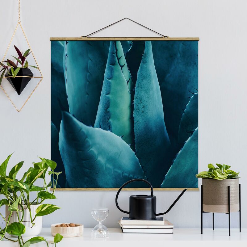 

Imagen de tela - Succulent Plant Petrol - Cuadrado 1:1 Dimensión LxA: 100cm x 100cm