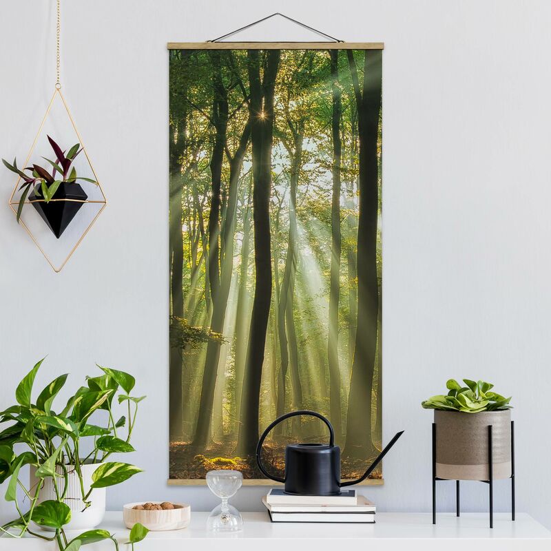 

Bilderwelten - Imagen de tela - Sunny Day In The Forest - Alto 2:1 Dimensión LxA: 70cm x 35cm
