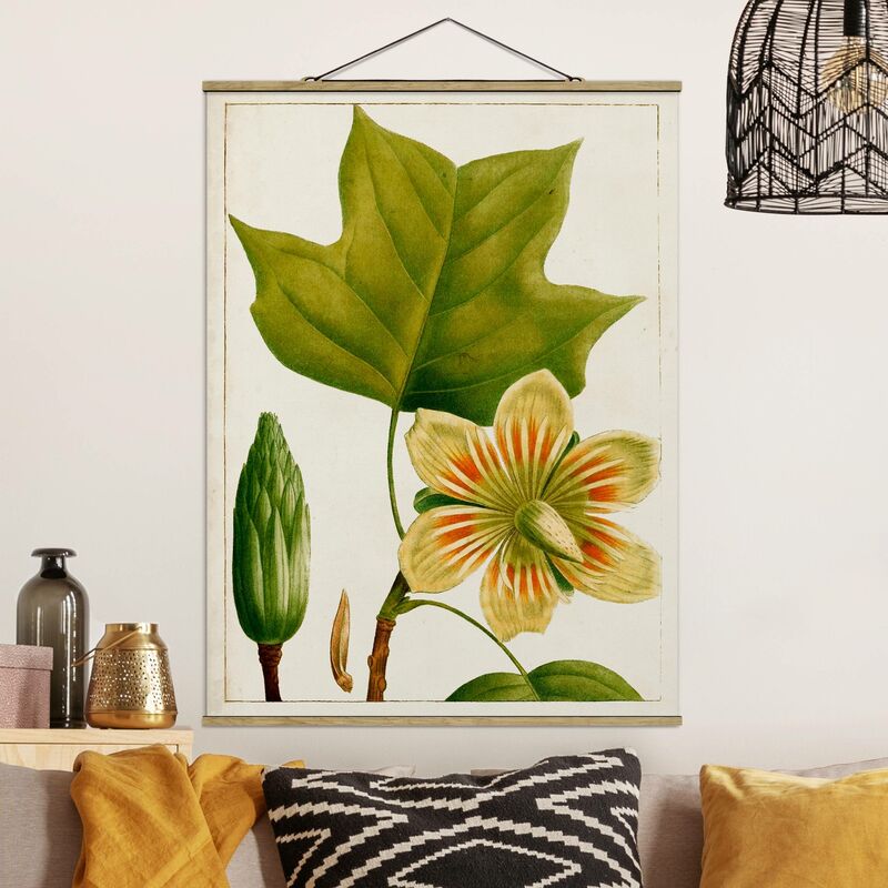

Imagen de tela - Tableau Leaf Flower Fruit IV - Alto 4:3 Dimensión LxA: 106.5cm x 80cm