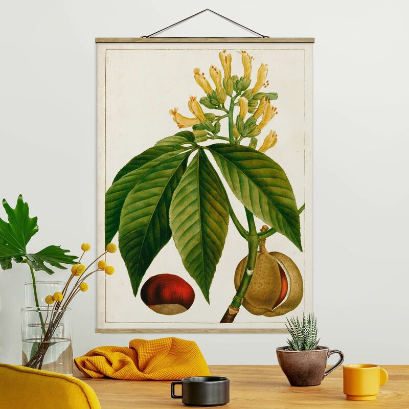 

Imagen de tela - Tableau Leaf Flower Fruit VI - Alto 4:3 Dimensión LxA: 106.5cm x 80cm