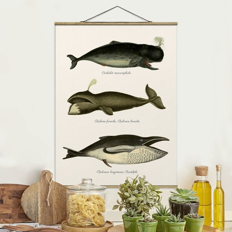 

Bilderwelten - Imagen de tela - Three Vintage Whales - Alto 4:3 Dimensión LxA: 46.5cm x 35cm