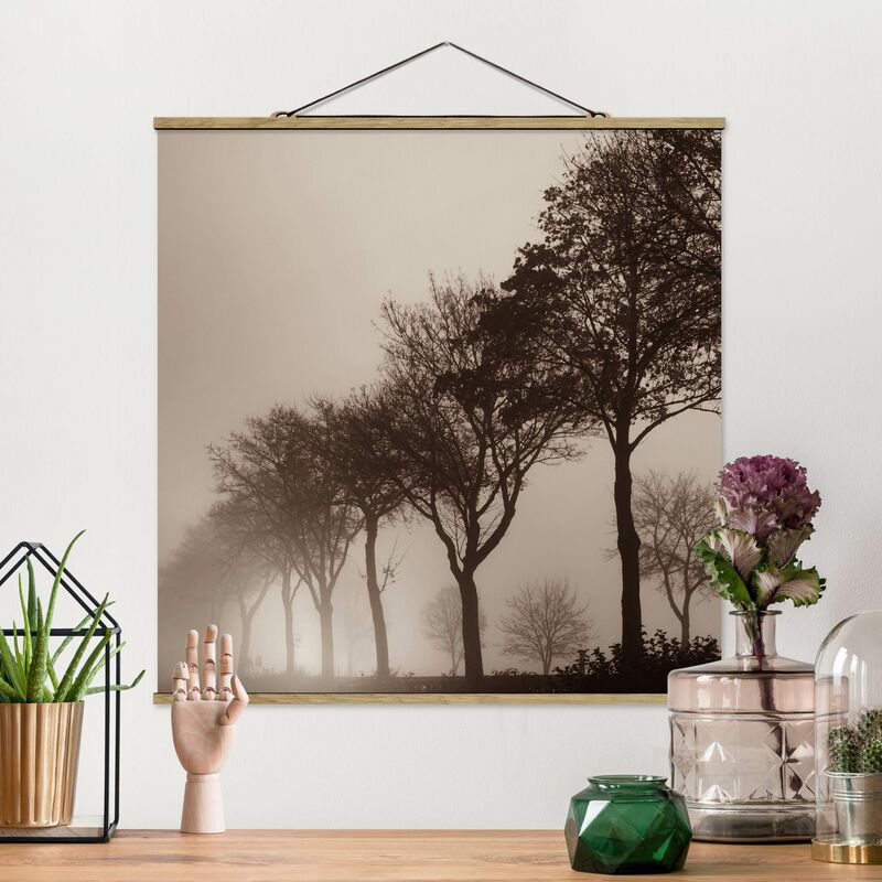 

Imagen de tela - Tree Avanue In Morning Mist - Cuadrado 1:1 Dimensión LxA: 80cm x 80cm