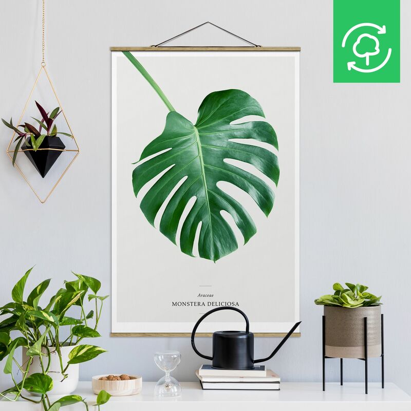 

Imagen de tela - Tropical Leaf Monstera - Alto 3:2 Dimensión LxA: 120cm x 80cm
