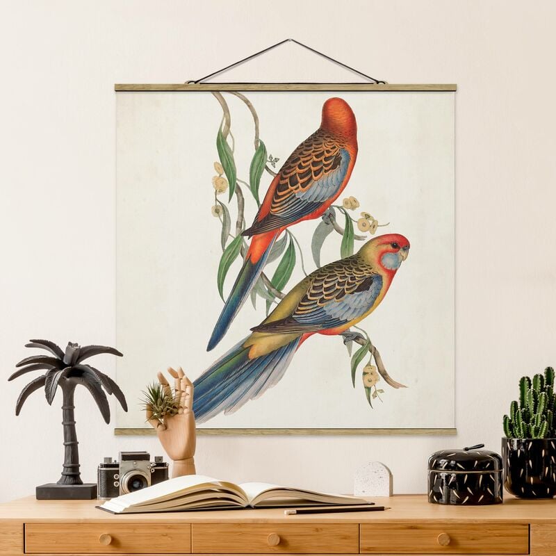 

Imagen de tela - Tropical Parrot II - Cuadrado 1:1 Dimensión LxA: 35cm x 35cm