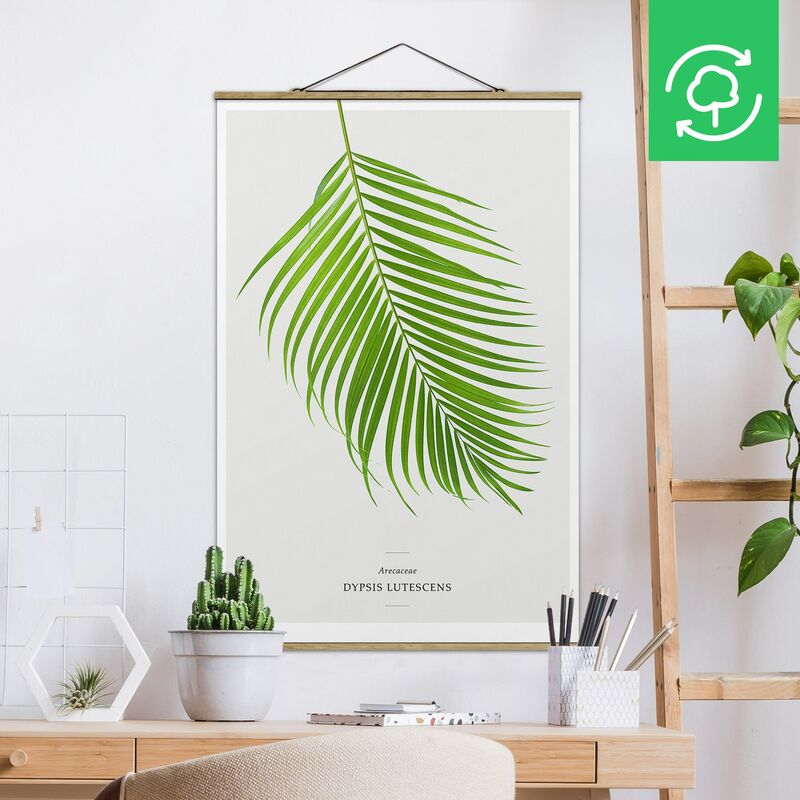 

Imagen de tela - Tropical Leaf Areca Palm - Alto 3:2 Dimensión LxA: 120cm x 80cm