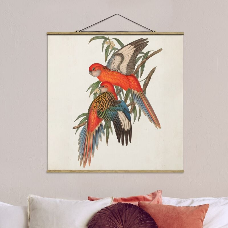 

Imagen de tela - Tropical Parrot I - Cuadrado 1:1 Dimensión LxA: 35cm x 35cm