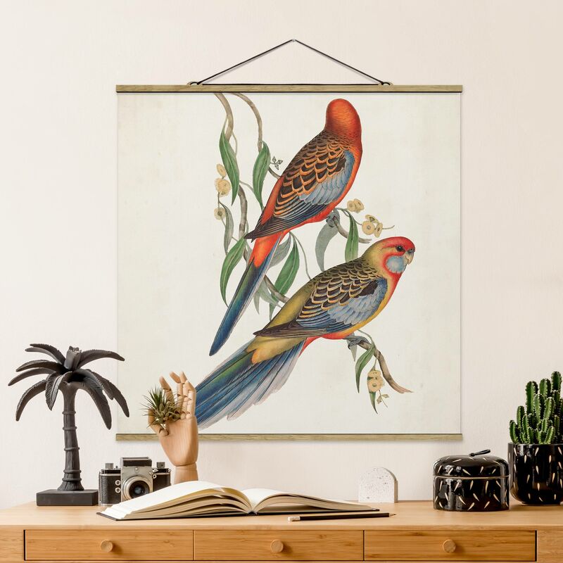 

Imagen de tela - Tropical Parrot II - Cuadrado 1:1 Dimensión LxA: 100cm x 100cm