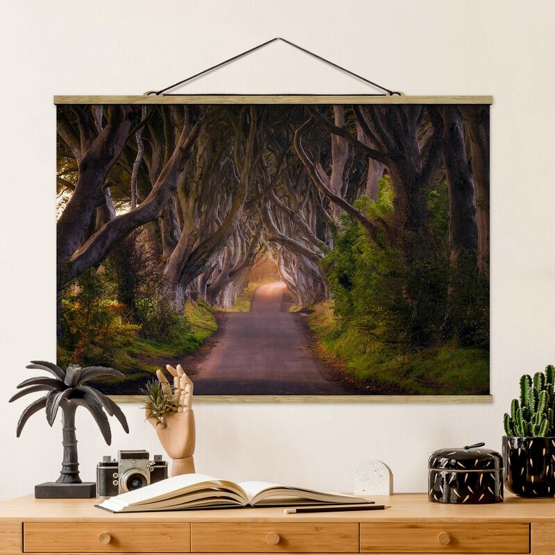 

Imagen de tela - Tunnel From Trees - Apaisado 2:3 Dimensión LxA: 66.5cm x 100cm