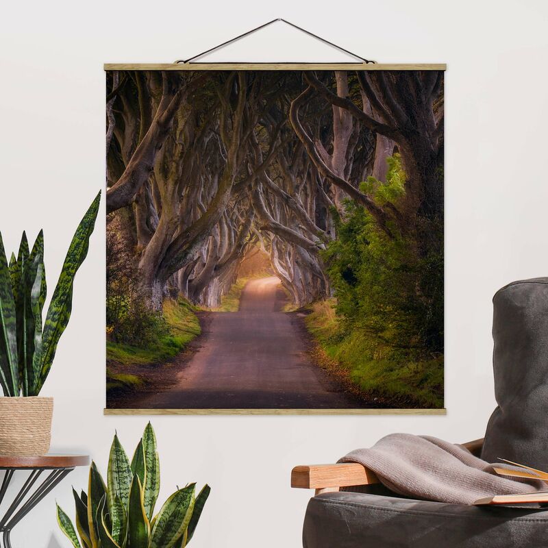 

Imagen de tela - Tunnel From Trees - Cuadrado 1:1 Dimensión LxA: 35cm x 35cm