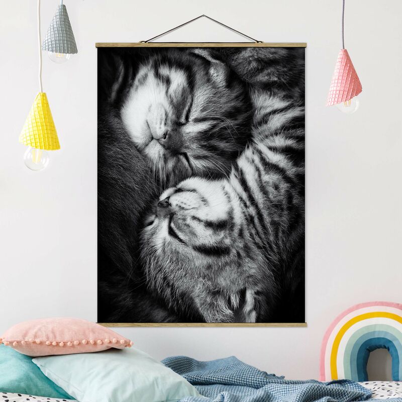 

Imagen de tela - Two Kittens - Alto 4:3 Dimensión LxA: 66.4cm x 50cm