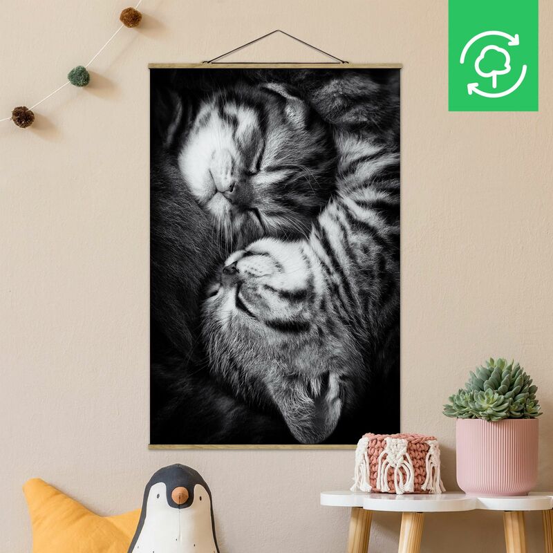 

Imagen de tela - Two Kittens - Alto 3:2 Dimensión LxA: 52.5cm x 35cm