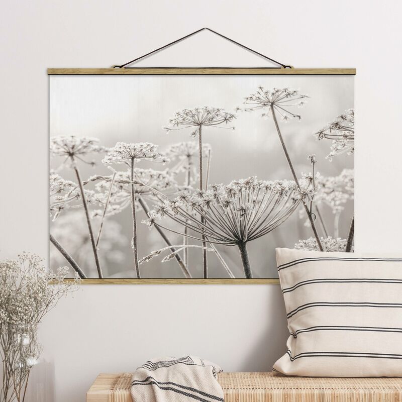 

Imagen de tela - Umbel Covered In Hoarfrost - Apaisado 2:3 Dimensión LxA: 33.5cm x 50cm