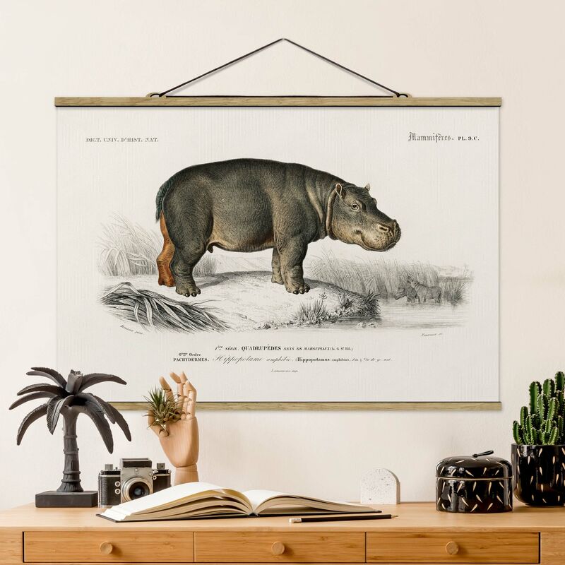 

Imagen de tela - Vintage Board Hippo - Apaisado 2:3 Dimensión LxA: 53.5cm x 80cm
