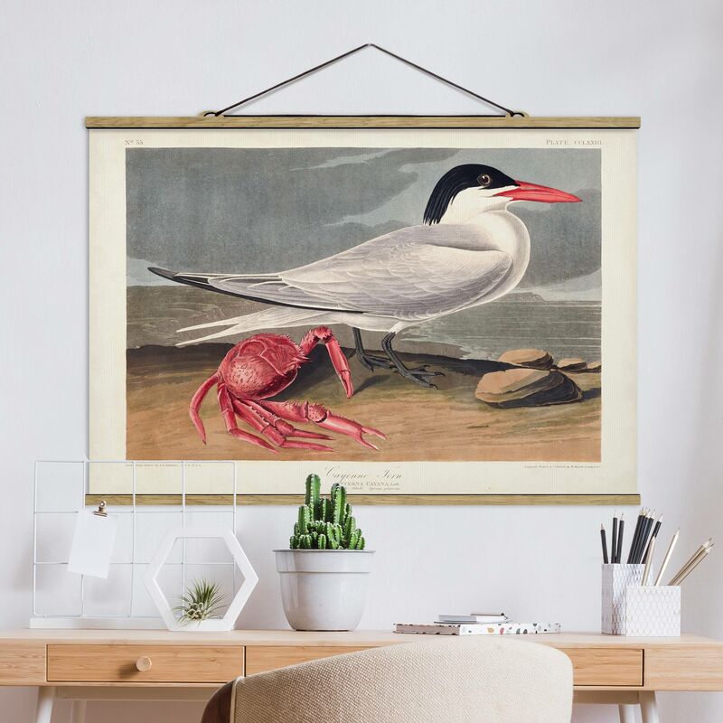 

Imagen de tela - Vintage Board Sandwich Tern - Apaisado 2:3 Dimensión LxA: 33.5cm x 50cm