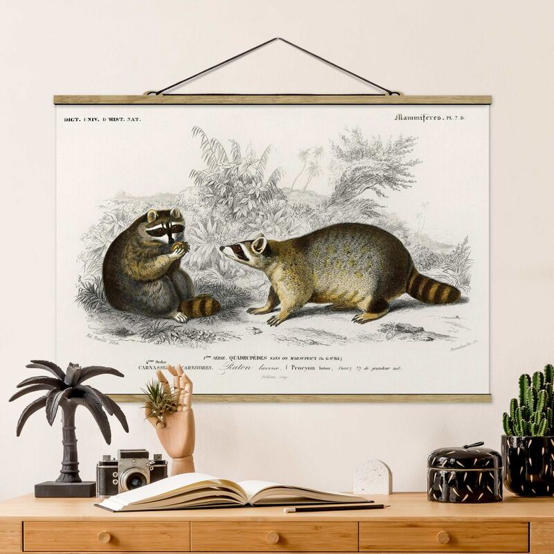 

Imagen de tela - Vintage Board Raccoon - Apaisado 2:3 Dimensión LxA: 53.5cm x 80cm
