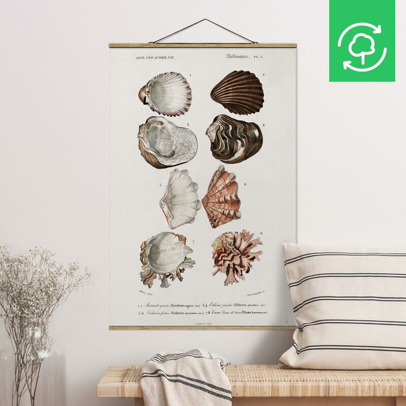 

Imagen de tela - Vintage Board Eight Shells Rose Cream - Alto 3:2 Dimensión LxA: 52.5cm x 35cm