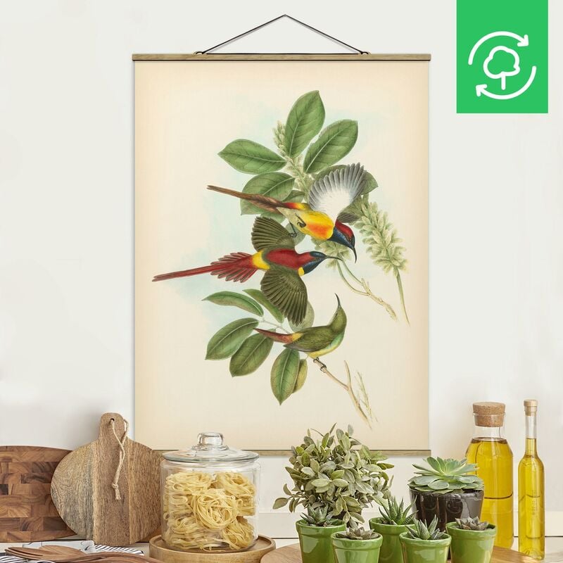 

Imagen de tela - Vintage Illustration Tropical Birds III - Alto 4:3 Dimensión LxA: 46.5cm x 35cm