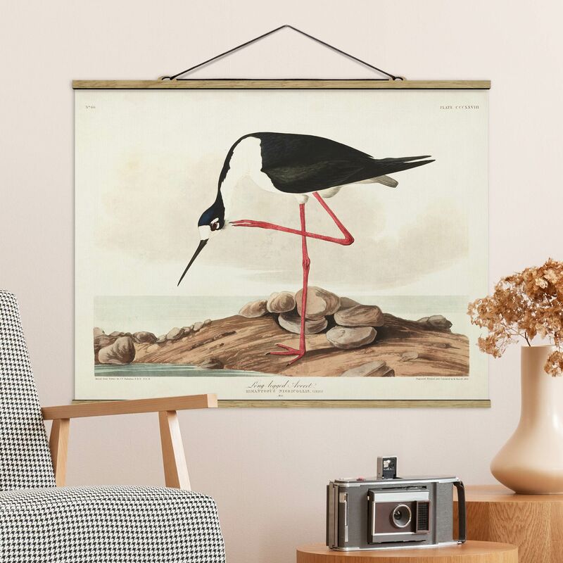 

Imagen de tela - Vintage Board Leggy Avocet - Apaisado 3:4 Dimensión LxA: 37.5cm x 50cm