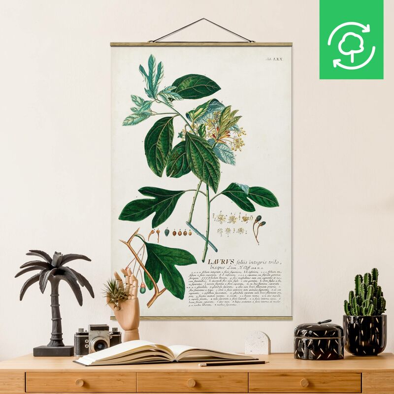 

Imagen de tela - Vintage Botanical Illustration Laurel - Alto 3:2 Dimensión LxA: 120cm x 80cm