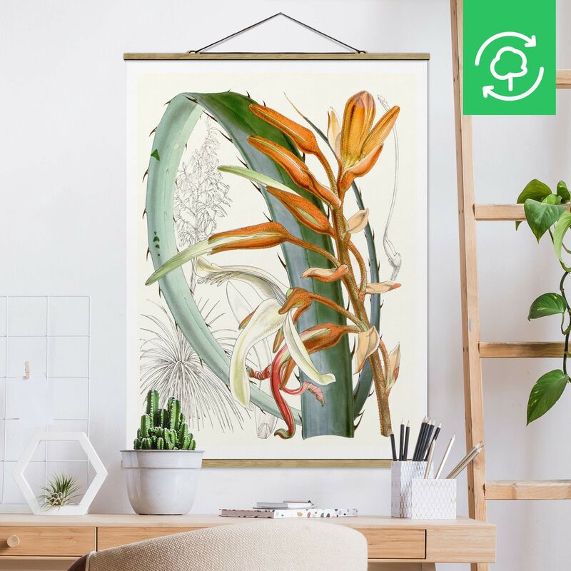 

Imagen de tela - Vintage Illustration Tropical Flowers I - Alto 4:3 Dimensión LxA: 46.5cm x 35cm