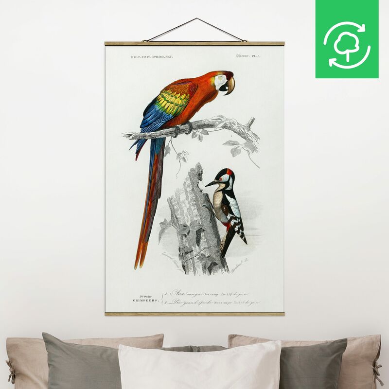

Imagen de tela - Vintage Board Parrot Red Blue - Alto 3:2 Dimensión LxA: 150cm x 100cm
