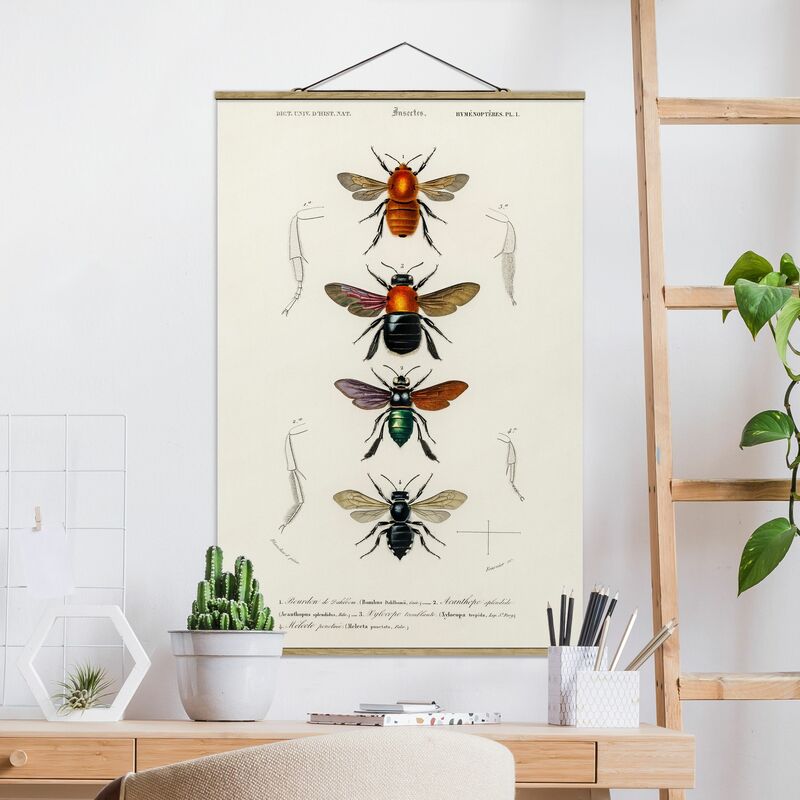 

Imagen de tela - Vintage Board Insects - Alto 3:2 Dimensión LxA: 120cm x 80cm
