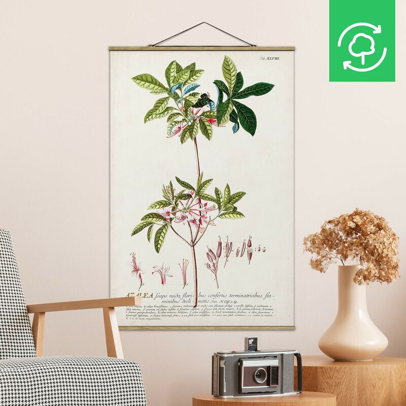 

Imagen de tela - Vintage Botanical Illustration Azalea - Alto 3:2 Dimensión LxA: 120cm x 80cm