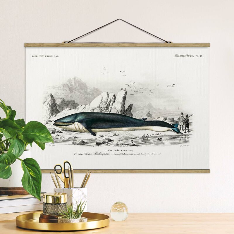 

Imagen de tela - Vintage Board Blue Whale - Apaisado 2:3 Dimensión LxA: 23.5cm x 35cm