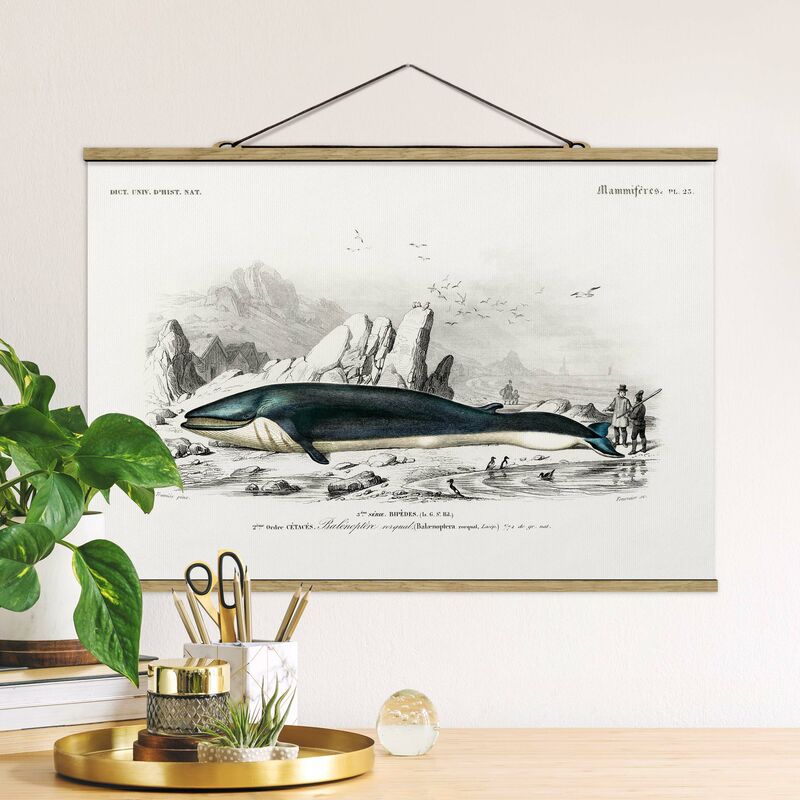 

Imagen de tela - Vintage Board Blue Whale - Apaisado 2:3 Dimensión LxA: 33.5cm x 50cm