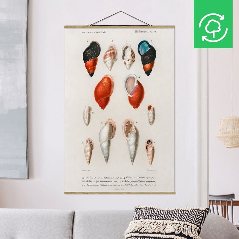 

Imagen de tela - Vintage Board Snail Shells - Alto 3:2 Dimensión LxA: 52.5cm x 35cm