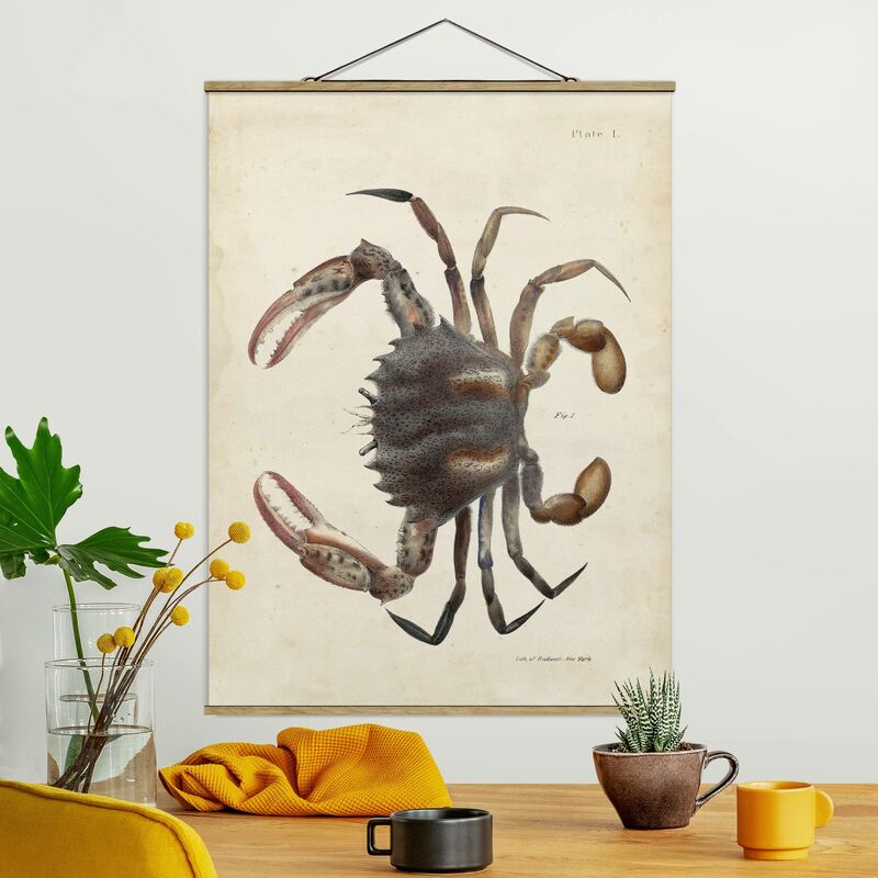

Imagen de tela - Vintage Illustration Crab - Alto 4:3 Dimensión LxA: 46.5cm x 35cm