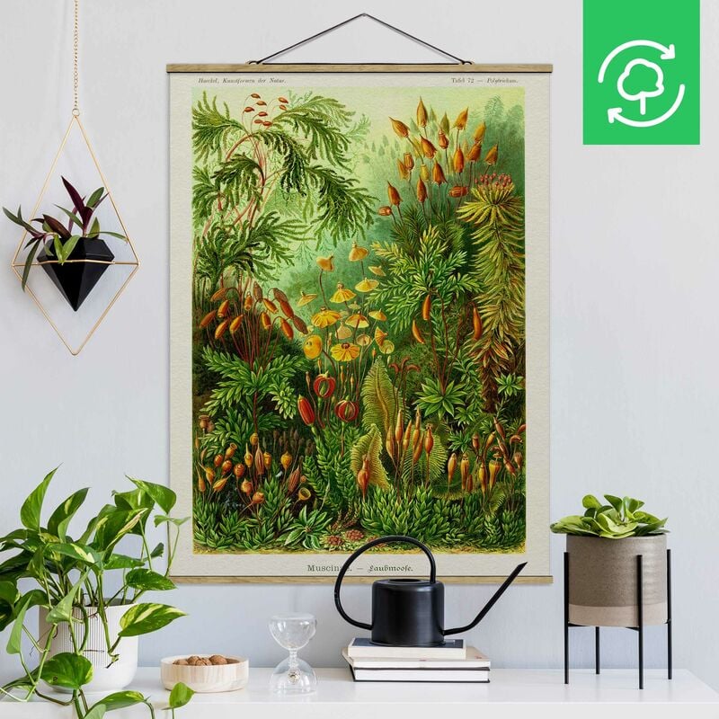 

Imagen de tela - Vintage Board Moss - Alto 4:3 Dimensión LxA: 106.5cm x 80cm