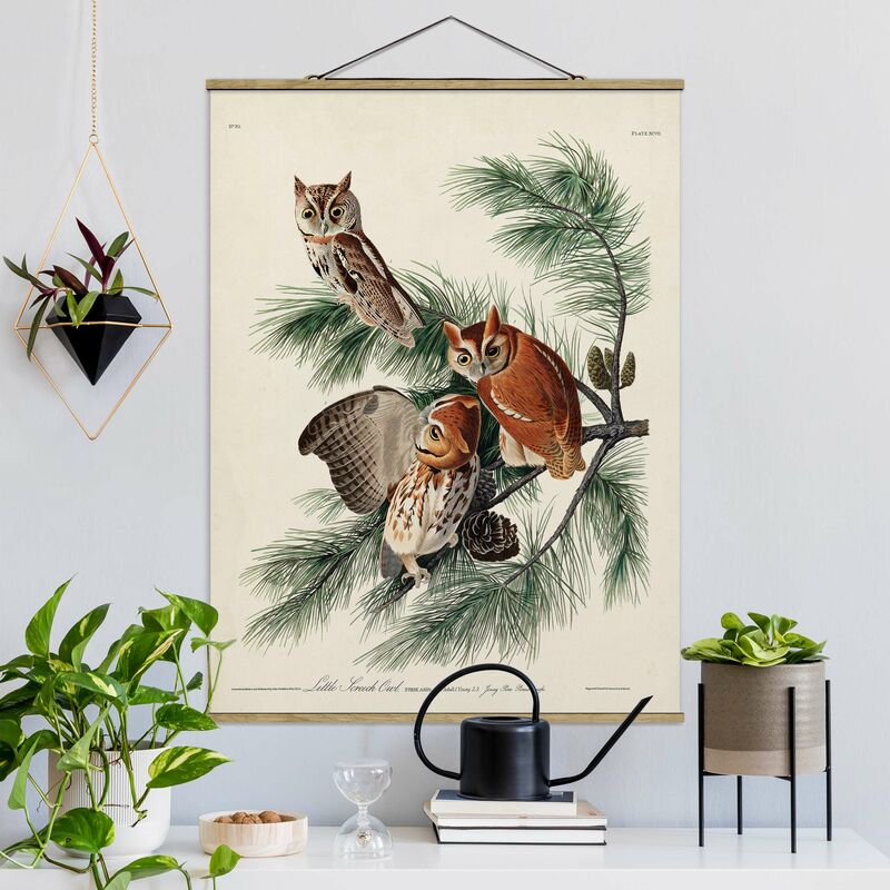 

Imagen de tela - Vintage Board Screech Owl - Alto 4:3 Dimensión LxA: 46.5cm x 35cm