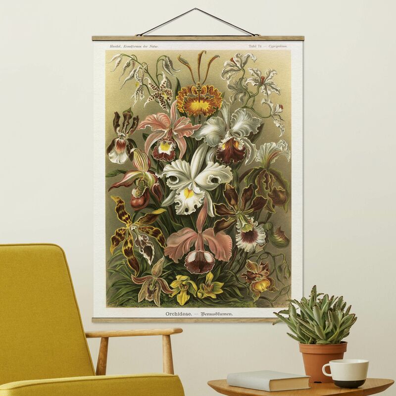 

Imagen de tela - Vintage Board Orchid - Alto 4:3 Dimensión LxA: 66.4cm x 50cm
