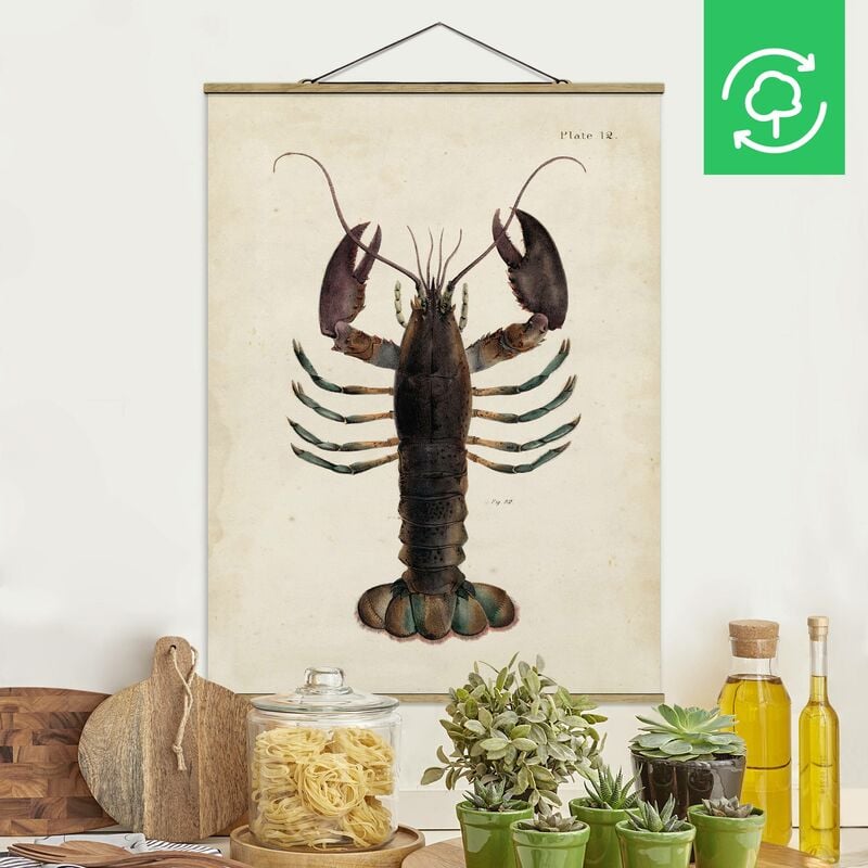 

Imagen de tela - Vintage Illustration Lobster - Alto 4:3 Dimensión LxA: 46.5cm x 35cm