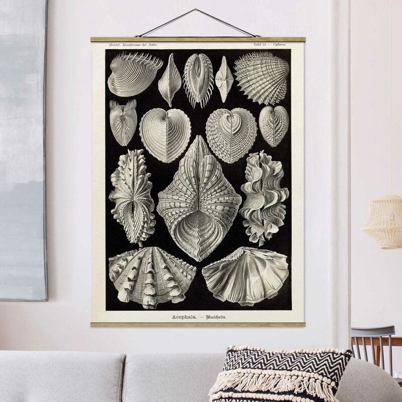 

Imagen de tela - Vintage Board Shells II - Alto 4:3 Dimensión LxA: 106.5cm x 80cm
