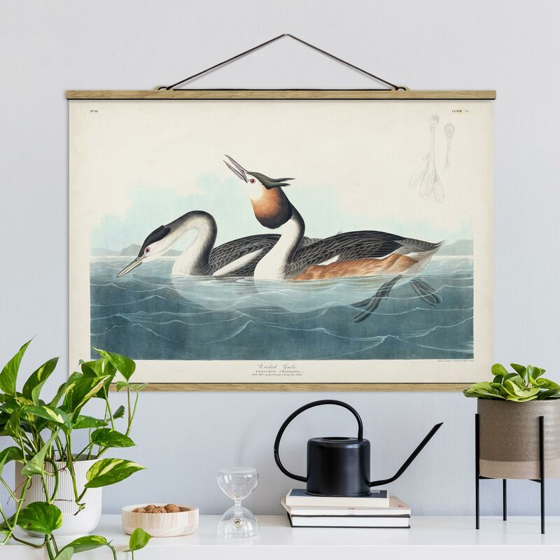 

Imagen de tela - Vintage Board Grebes - Apaisado 2:3 Dimensión LxA: 23.5cm x 35cm