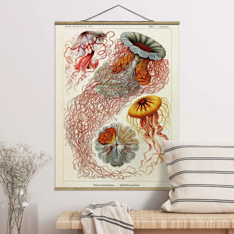 

Imagen de tela - Vintage Board Jellyfish - Alto 4:3 Dimensión LxA: 106.5cm x 80cm