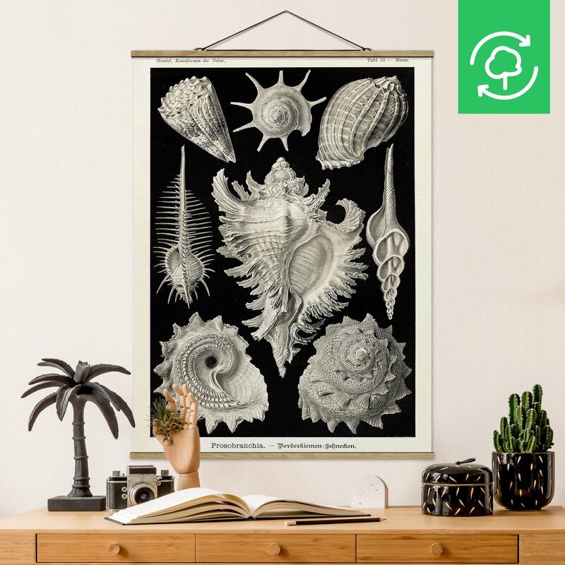 

Imagen de tela - Vintage Board Mussels I - Alto 4:3 Dimensión LxA: 106.5cm x 80cm