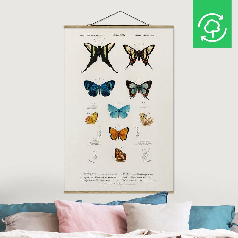 

Imagen de tela - Vintage Board Butterflies I - Alto 3:2 Dimensión LxA: 120cm x 80cm