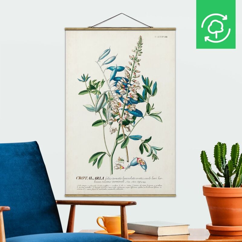 

Imagen de tela - Vintage Botanical Illustration Legumes - Alto 3:2 Dimensión LxA: 120cm x 80cm